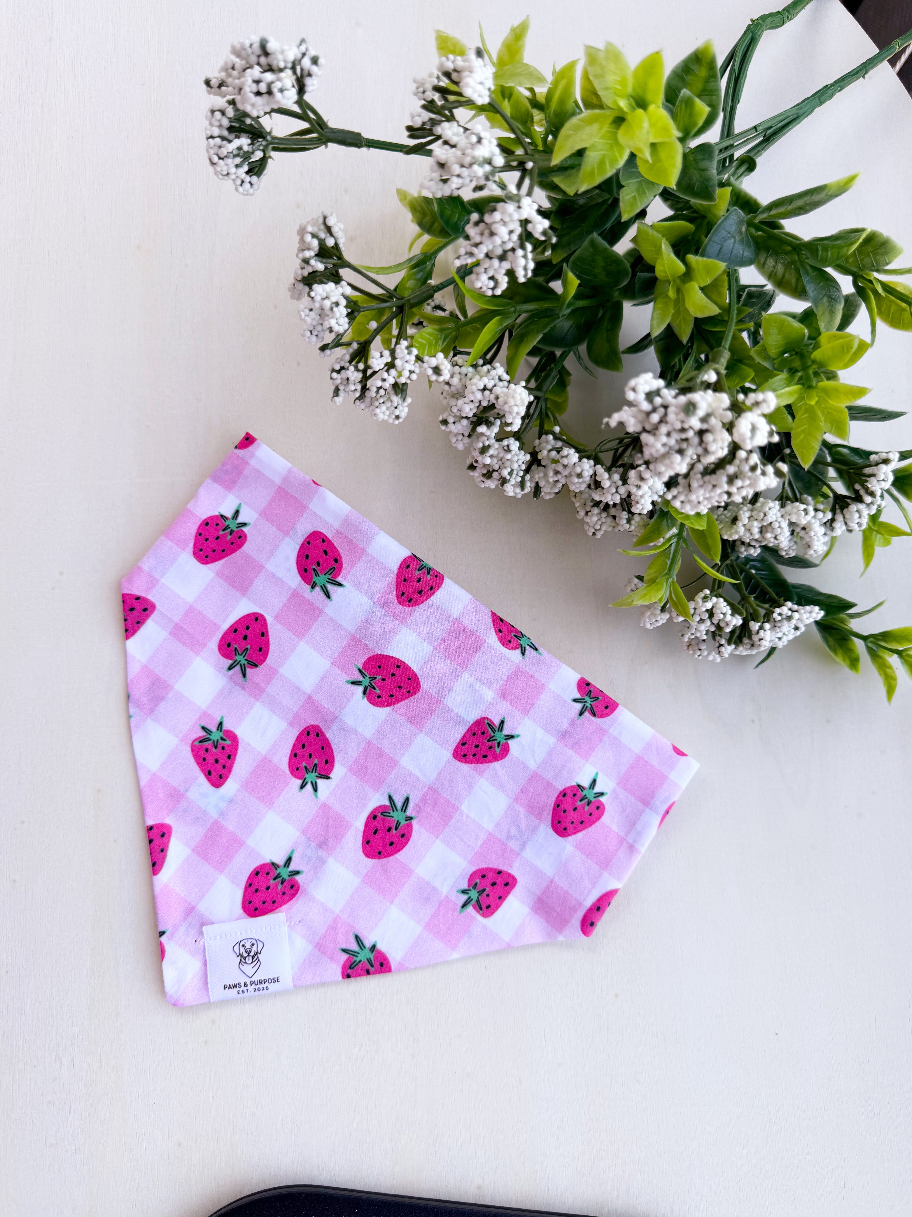 Strawberry Picnic