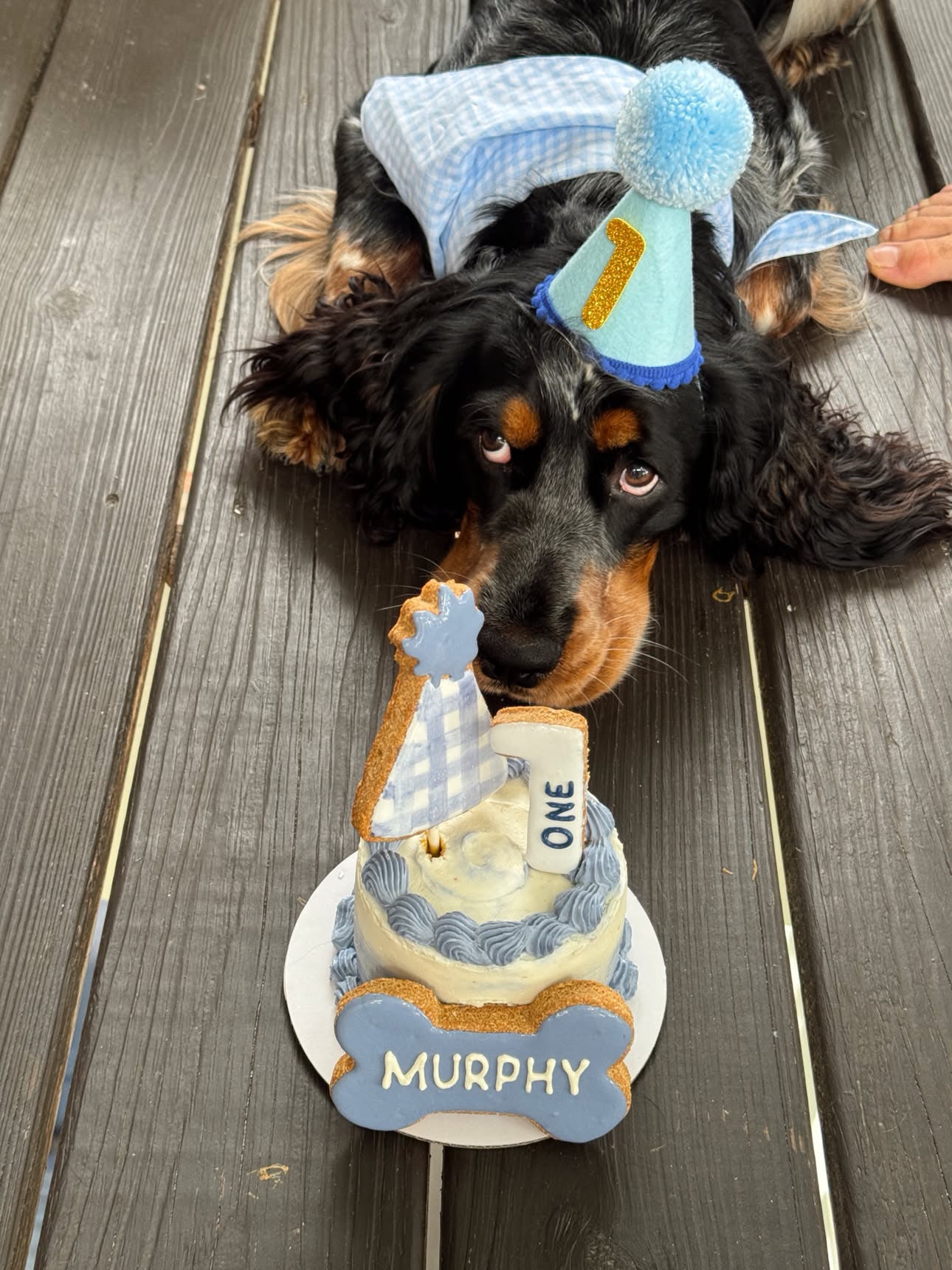 Classic Barkday Cake