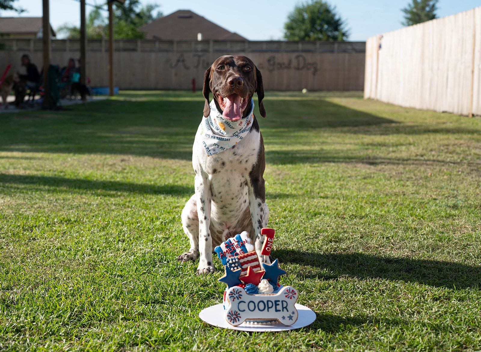 Custom Barkday Cake