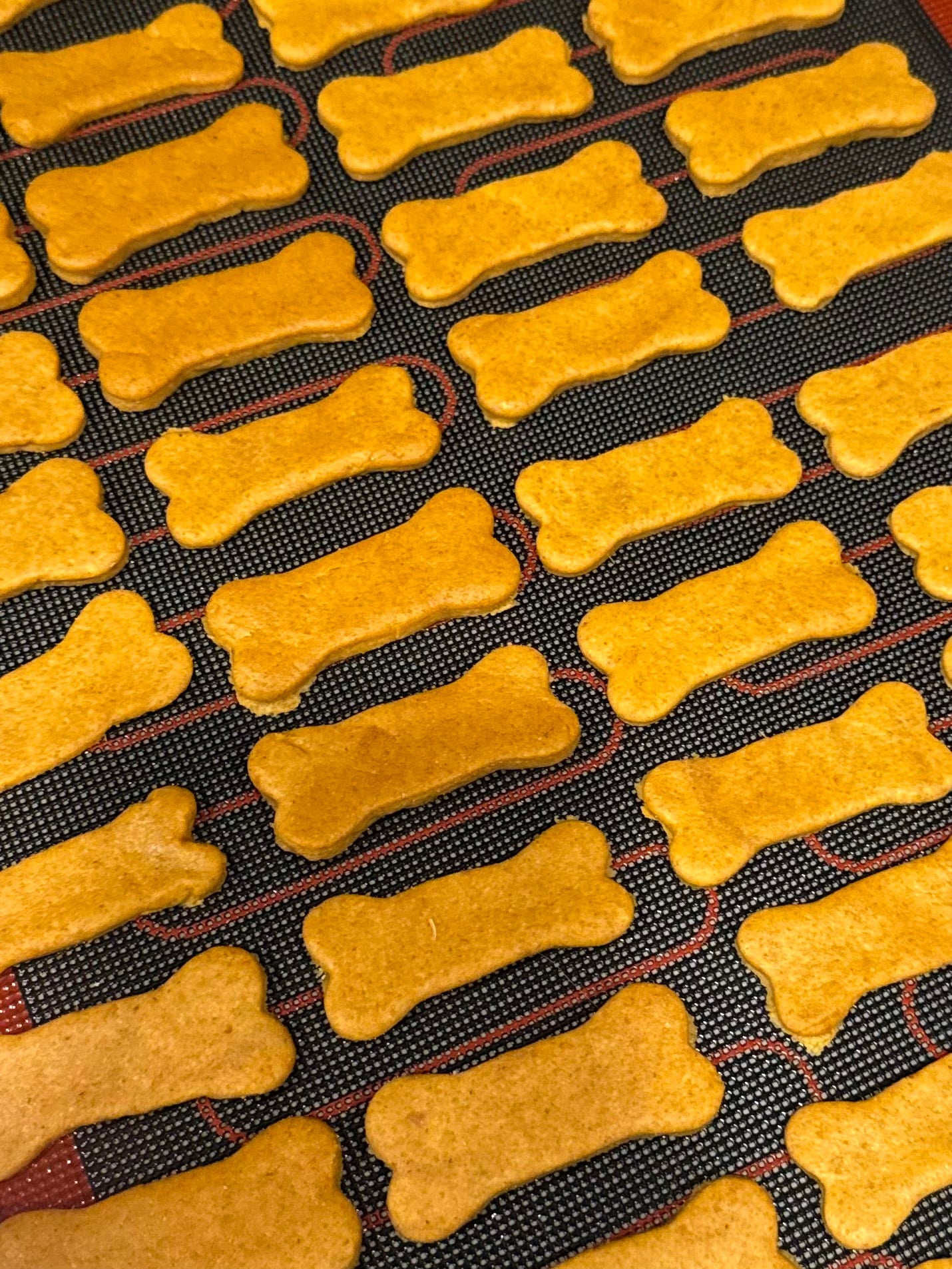 PB Pumpkin Bites
