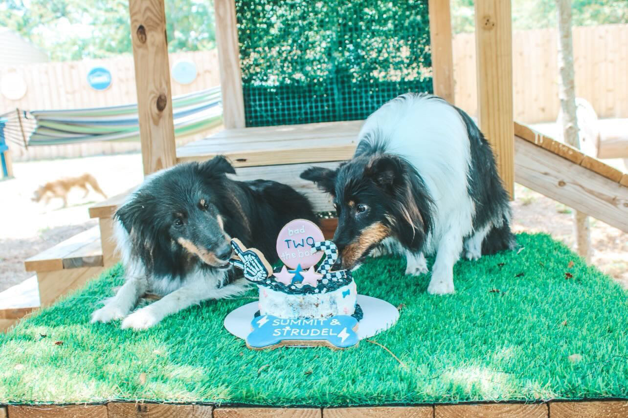 Custom Barkday Cake