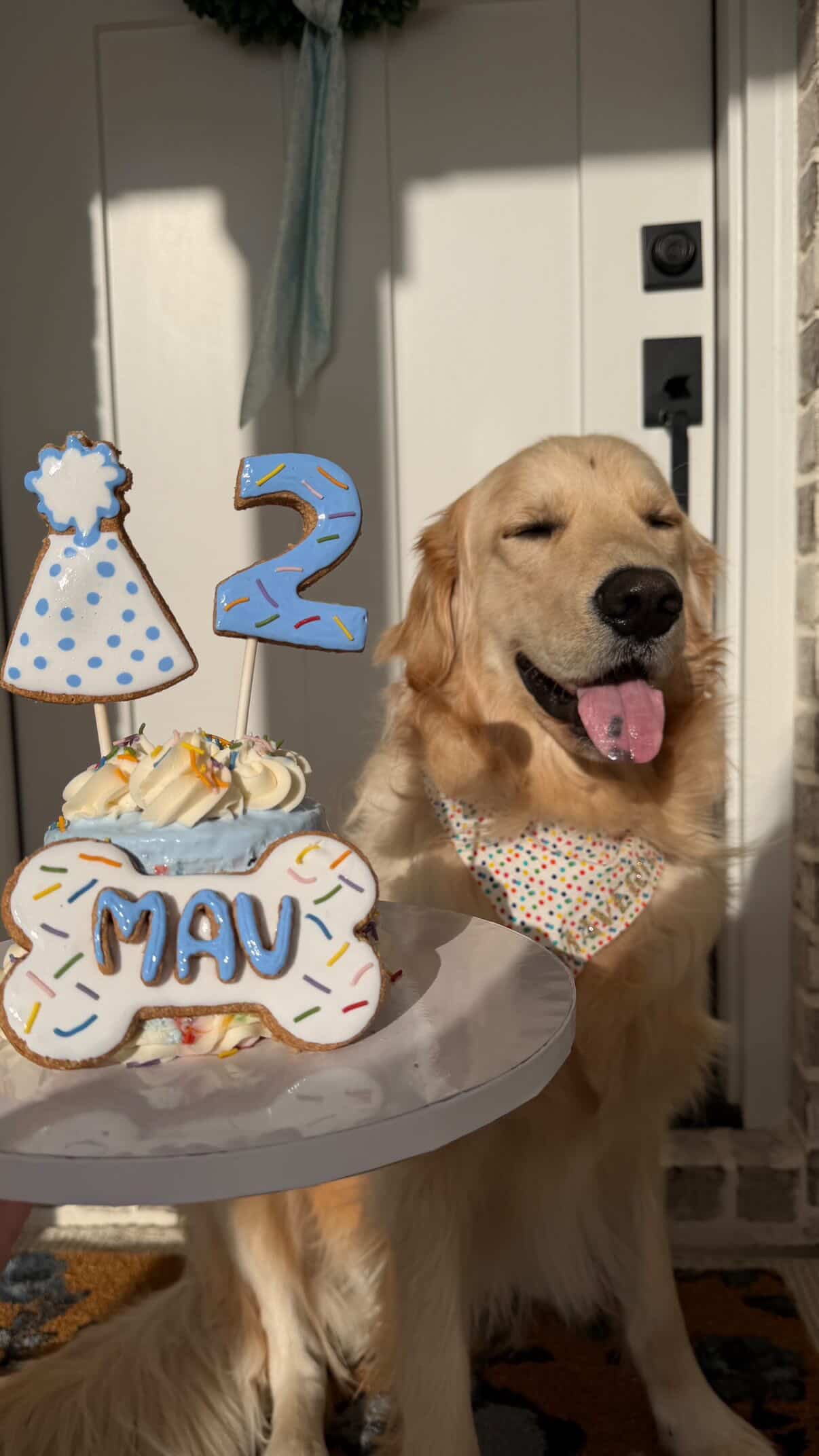 Barkday Cake