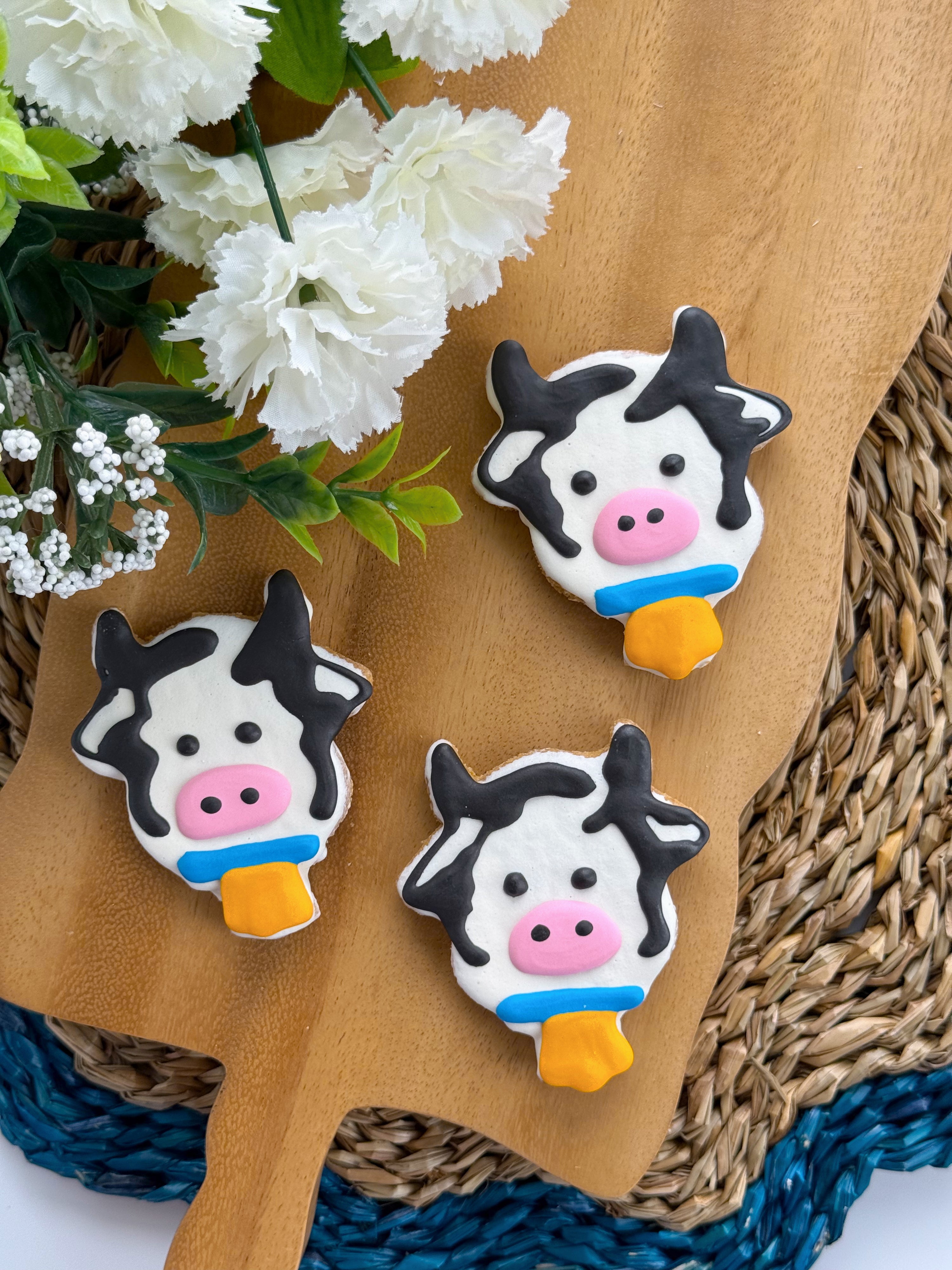 Cow Biscuit
